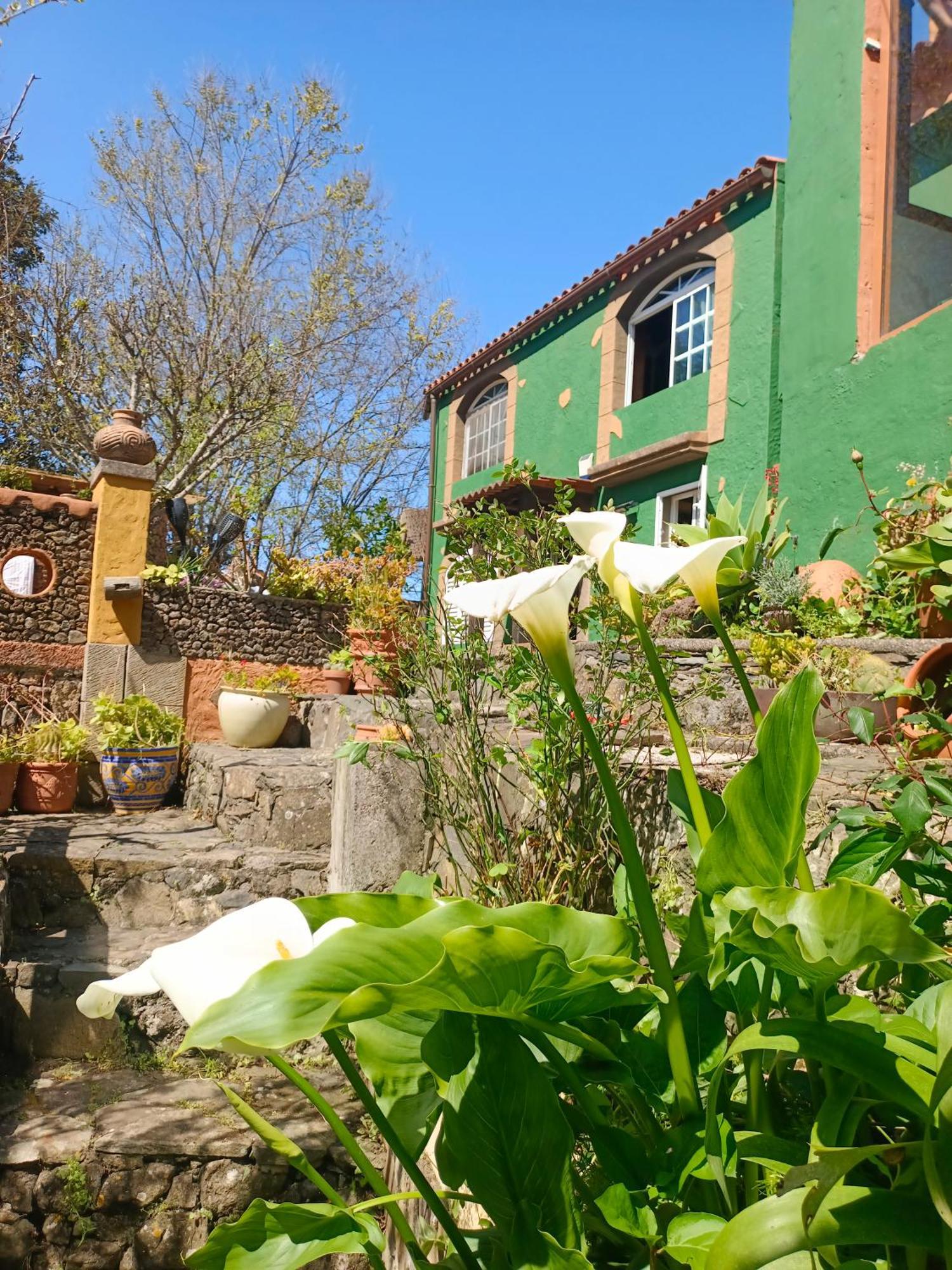 Los Matos, Canarian House In Valleseco Esterno foto