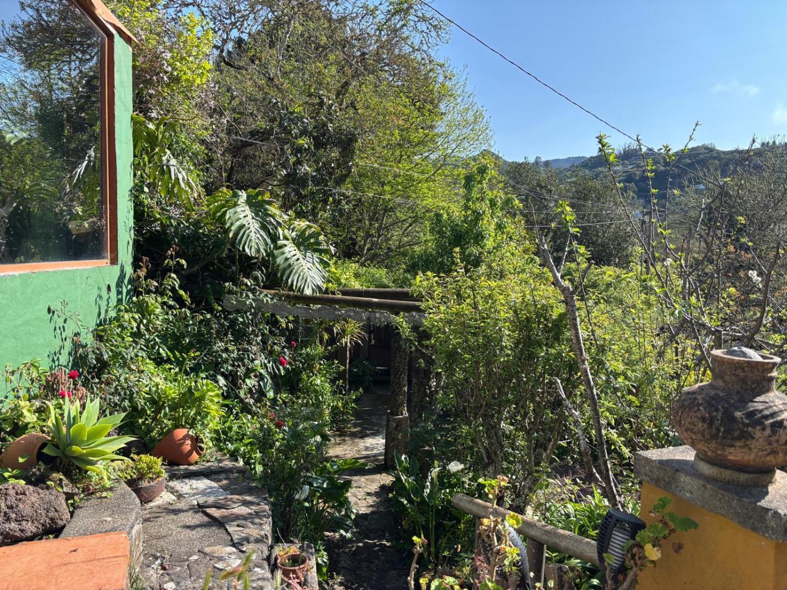 Los Matos, Canarian House In Valleseco Esterno foto
